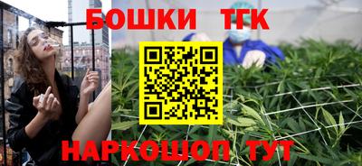 индика Кингисепп