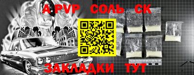 индика Кингисепп
