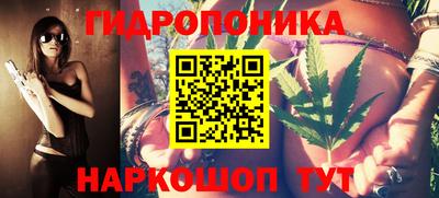 индика Кингисепп