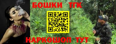 индика Кингисепп