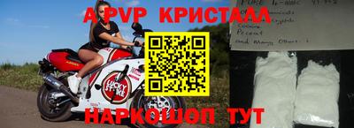 индика Кингисепп