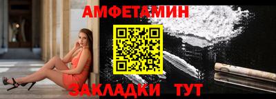 индика Кингисепп