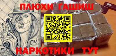индика Кингисепп