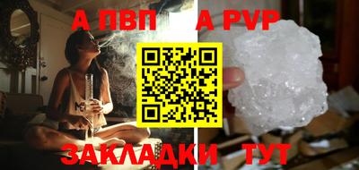 индика Кингисепп