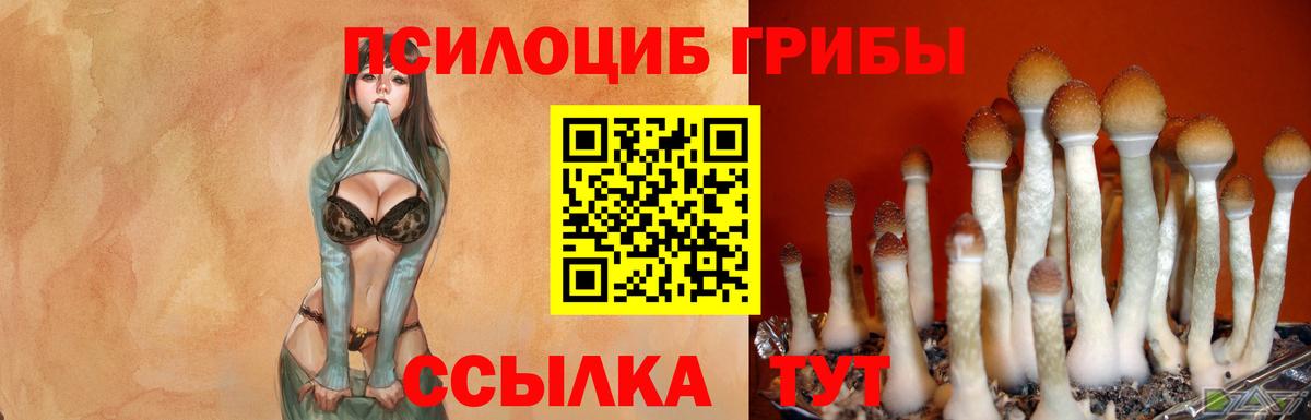 Истра  Псилоцибиновые грибы мицелий  Вход с VPN  Галлюциногенные грибы мицелий 